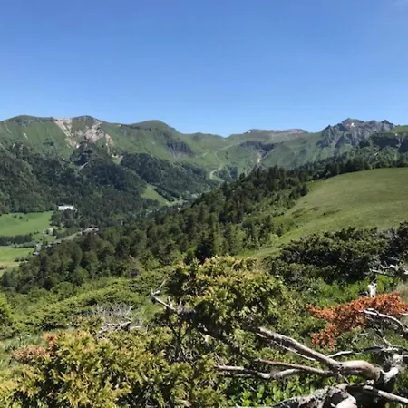 Beau T3 Avec Wifi Au Centre Du Mont-dore, Proche Des Thermes - Fr-1-608-49 公寓 *