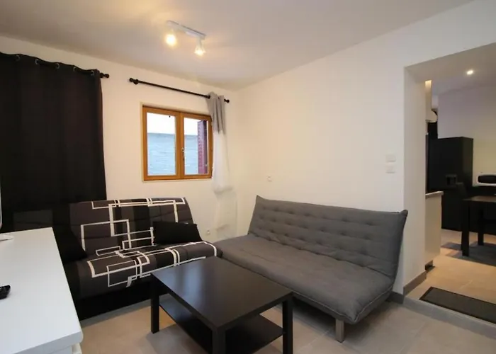 Apartamento Beau T3 Avec Wifi Au Centre Du Mont-dore, Proche Des Thermes - Fr-1-608-49 Mont-Dore