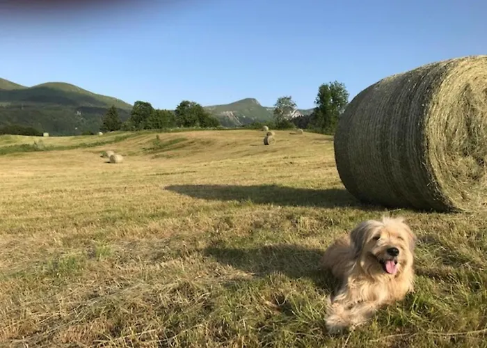 Beau T3 Avec Wifi Au Centre Du Mont-dore, Proche Des Thermes - Fr-1-608-49 Apartamento *