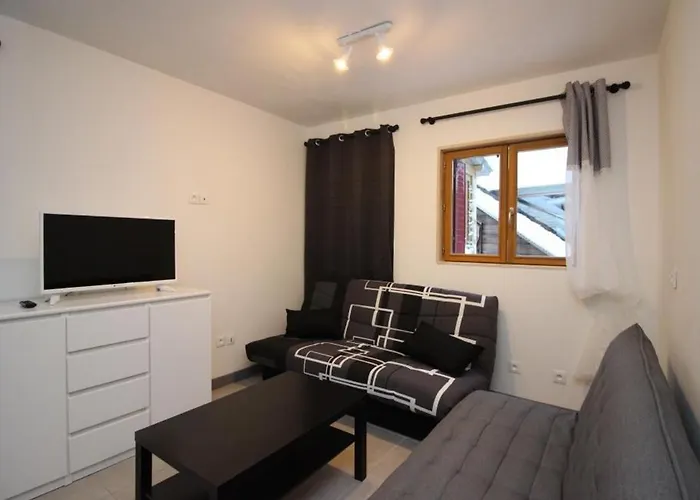 Apartamento Beau T3 Avec Wifi Au Centre Du Mont-dore, Proche Des Thermes - Fr-1-608-49