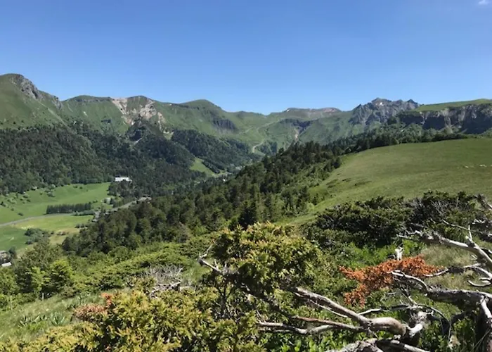 Beau T3 Avec Wifi Au Centre Du Mont-dore, Proche Des Thermes - Fr-1-608-49 Apartamento *